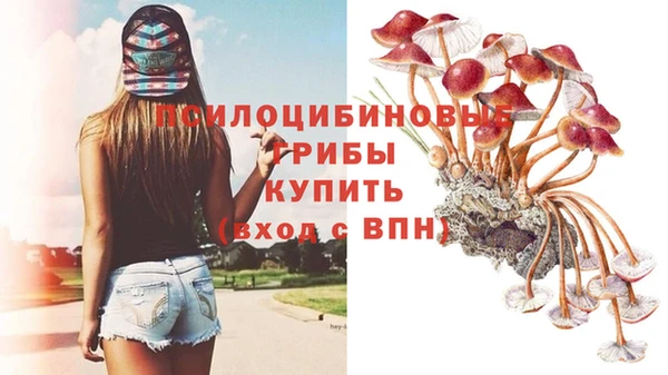 трава Алексеевка