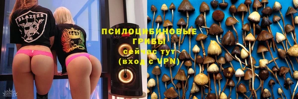 Альфа ПВП Алексин