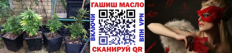 МЕГА ONION  наркота  Шуя  Дистиллят ТГК вейп 