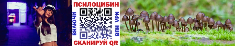наркошоп  Шуя  Галлюциногенные грибы Psilocybine cubensis 